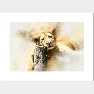 Lion Lion Cub Wild Animal Safari Africa Jungle Posters and Art